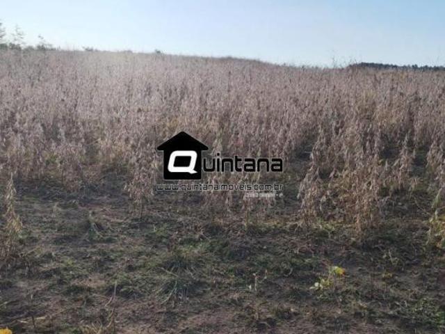 Vendo fazenda de 330 hectares para pecuária