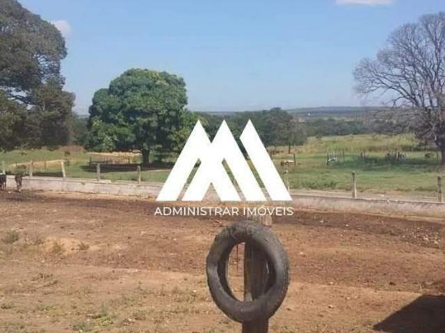 Vendo fazenda em Augusto de Lima com 1.272 hectares com água pelo terreno!