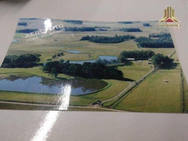 Vendo fazenda em Glorinha, a 700 metros da RS030