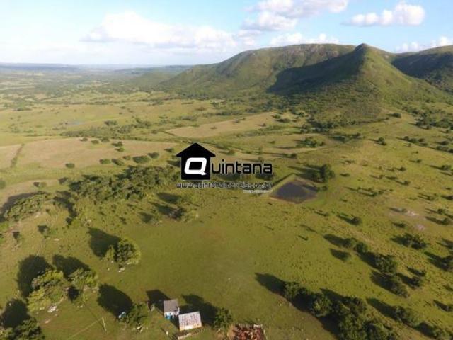VENDO FAZENDA EM HERVAL 155 HECTARES
