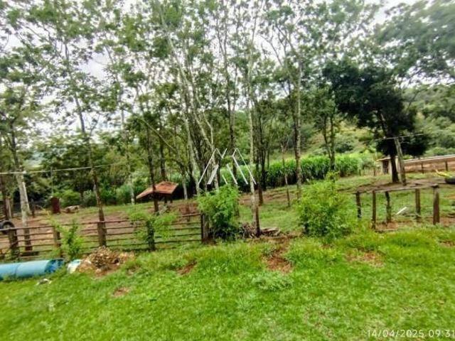 Vendo fazenda em Itaúna de 12 hectares com excelente localização