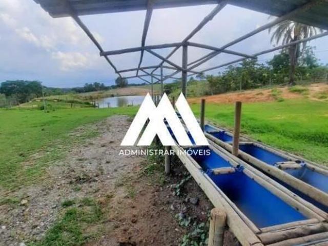 Vendo fazenda em São Gonçalo do Pará de 120 hectares e abundância de água!
