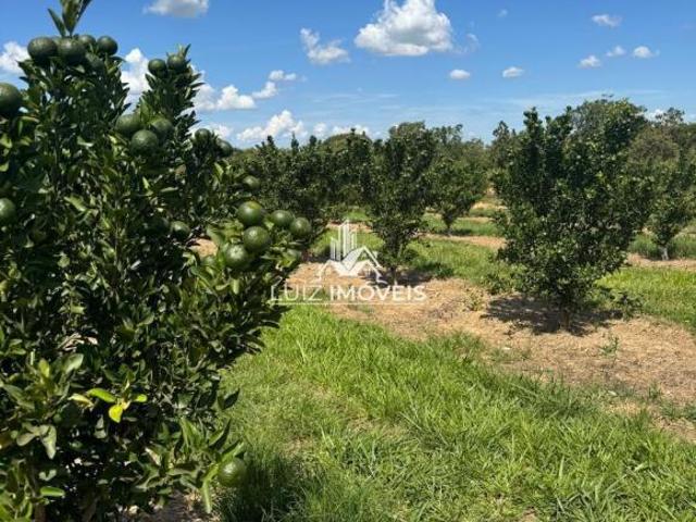 VENDO FAZENDA LARANJA 240HECTARES EM BIQUINHAS MG