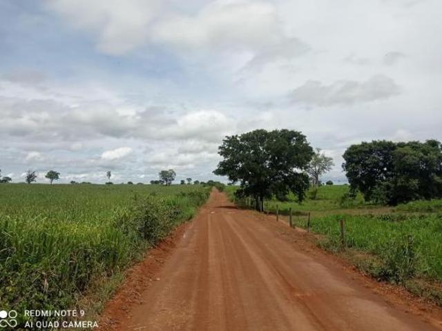 VENDO FAZENDA SITUADA NO MUNICÍPIO DE FLORES DE GOIÁS COM AREA TOTAL DE: 2.400 Alqueires 11.616 he