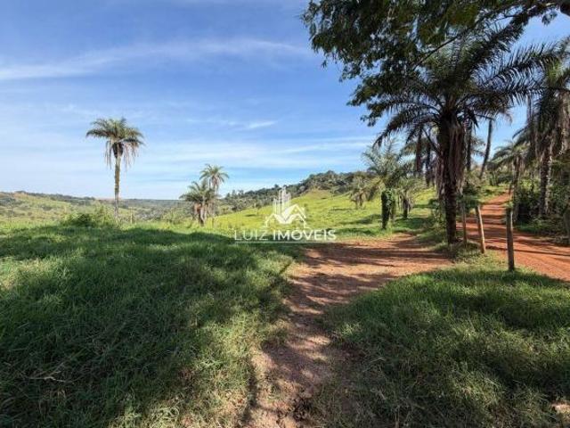 Vendo Fazenda 29.5hectares Rio Paranaíba MG