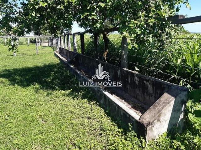 Vendo Fazenda 317Hectares Pirapora MG