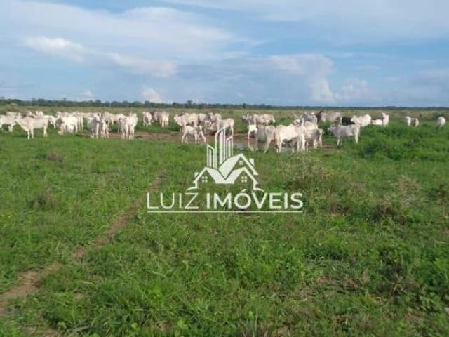 Vendo Fazenda 5400hectares BURITIZEIRO MG