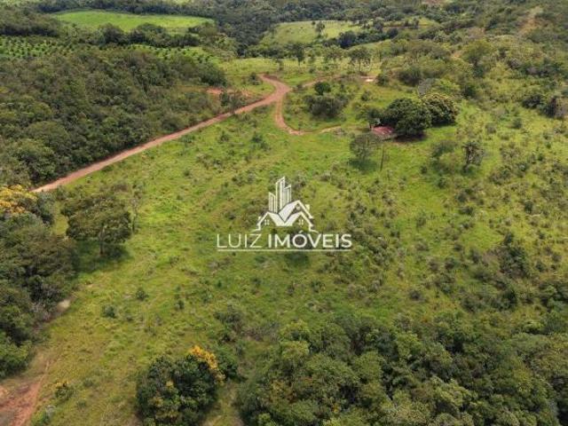 VENDO FAZENDA 64HECTARES IDEAL CAFE ABACATE SÃO GOTARDO MG