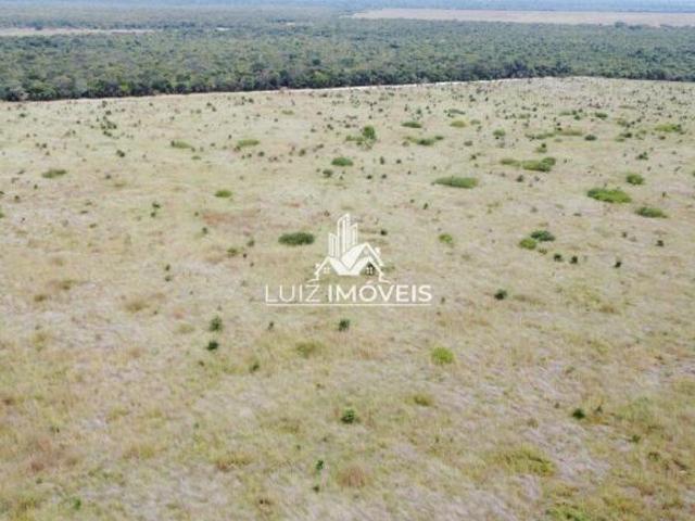 Vendo Fazenda 7.066 hectares Buritizeiro MG
