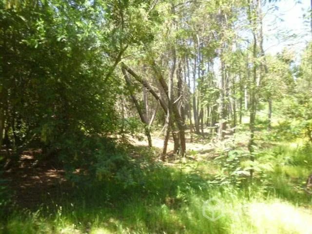 Vendo hermosa parcela 5000mt con rol propio 78.00 | 2 Dormitorios por 78000. 00 en Chillán Viejo