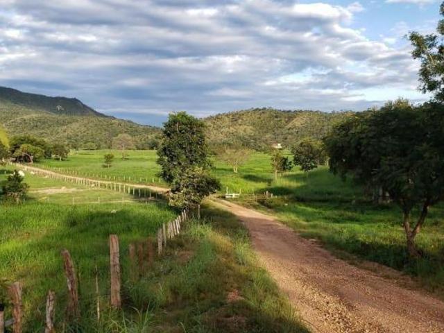 VENDO LINDA FAZENDA NO MUNICÍPIO DE NIQUELÂNDIA TODA FORMADA 98150 8787