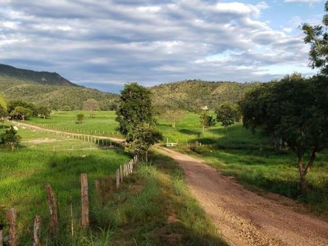 VENDO LINDA FAZENDA NO MUNICÍPIO DE NIQUELÂNDIA TODA FORMADA 98150 8787