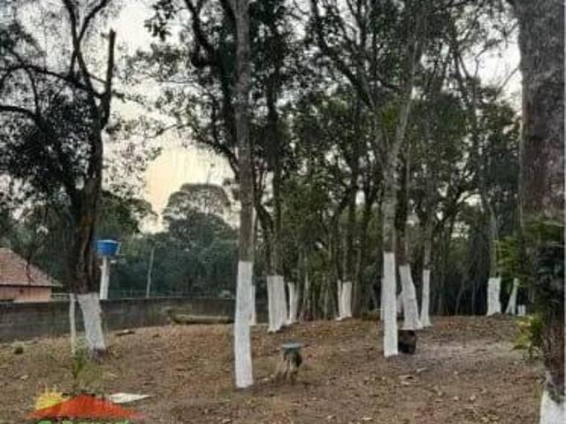 VENDO LINDO TERRENO EM SUZANO
