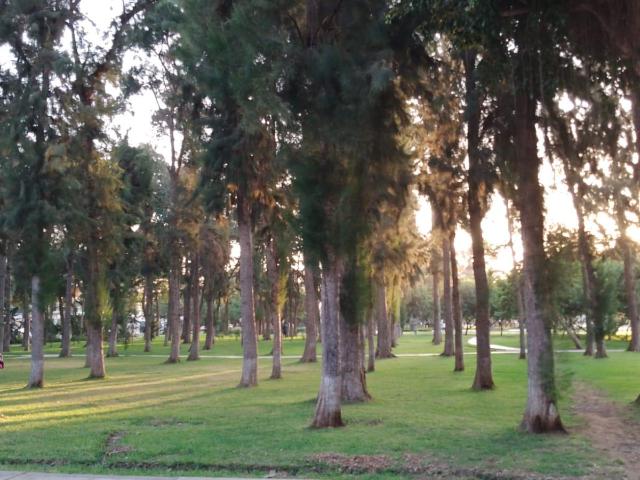 Vendo Lindo Departamento Frente a Parque en Calle Esmeralda 3, Chacarilla, San Borja