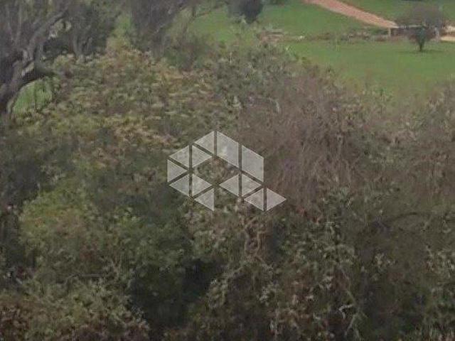 Vendo Lote no Santa Cristina