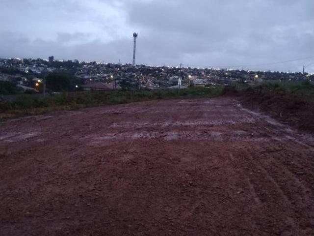 VENDO LOTE EM CONDOMÍNIO FECHADO NO VICENTE PIRES 98150 8787