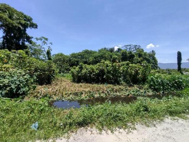 Vendo Lote 350 metros quadrados Parcelado direto com o proprietário