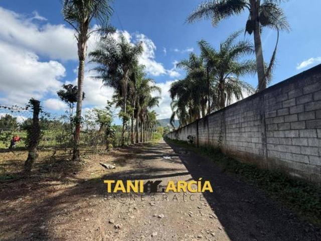Vendo lotes de terreno planos en Cuautlapan! Ixtaczoquitlán