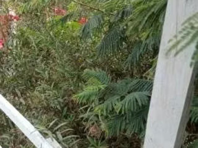 Vendo o permuto casa con amplio terreno | 4 dormitorios por 48000. 00 en Andacollo