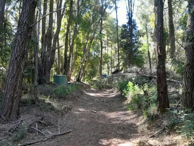 Vendo Parcela con Casa y Bodega en loteo camino a Paillaco | 1 dormitorios por 110000. 00 en Valdivia