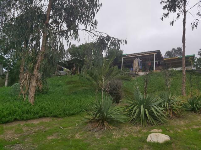 Vendo parcela de 5.000 mtrs2 con casa en Lo Abarca