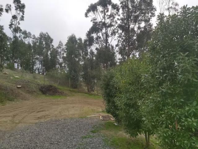 Vendo parcela de 5.000 mtrs2 con casa en Lo Abarca | 2 dormitorios por 135000. 00 en Cartagena