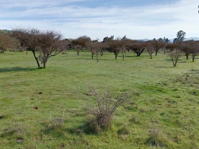 VENDO parcela 5.000 m2, Pumanque, Colchagua