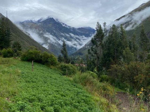Vendo Propiedad Construida En OllantaytamboCachiccata