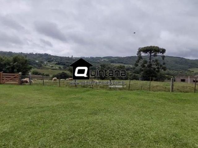 Vendo sítio 12 hectares no Morro Redondo