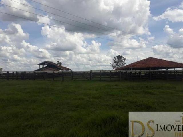 VENHA CONHECER: FAZENDA DE CANA À VENDA EM RANCHARIA/SP 1.412 ALQUEIRES NA BEIRA DA PISTA