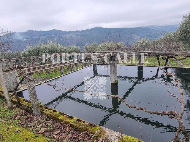 Quinta em Nagosa, Moimenta da Beira