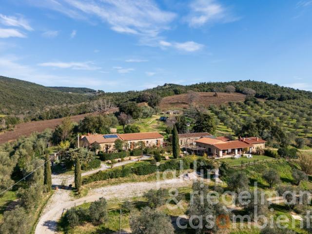 Venite a scoprire la Toscana Agriturismo con attività viti. 580m² Massa Marittima