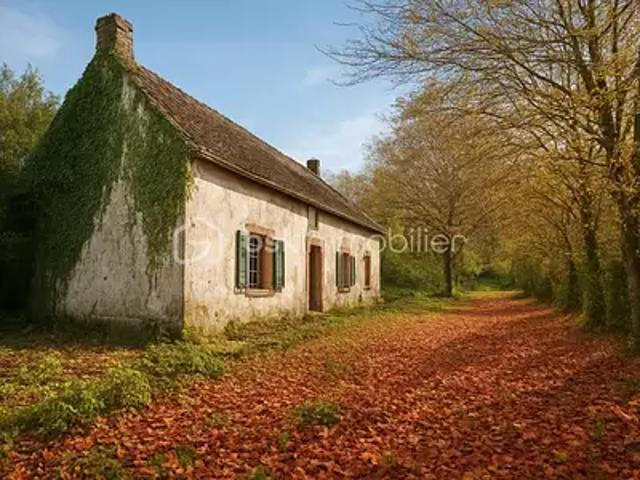 Venizy 89210 Achat / Vente maison 3 pièces t3 cave