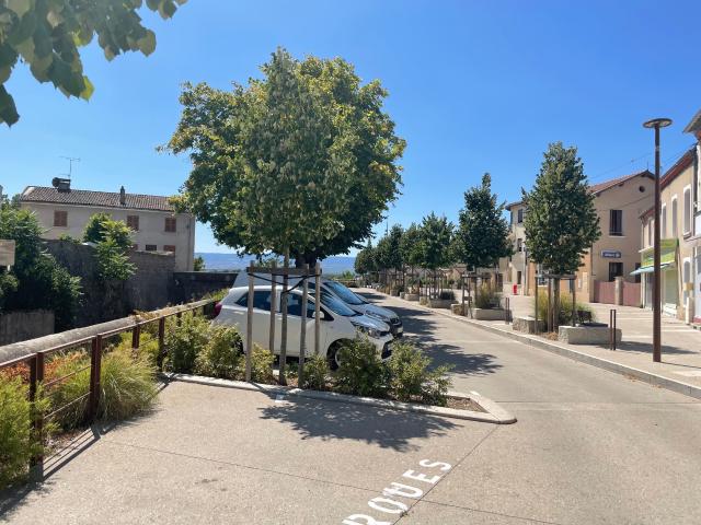 VEAUCHE Centre, Entre Parc et Place de l'Eglise Joli T3 en