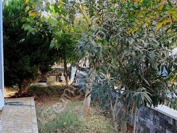 Akbük, Didim, Didim, Aydın ili, Ege Bölgesi