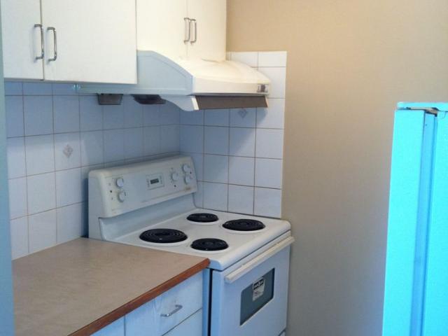 Very nice 1 bdrm + 1 den apartment in China Town!