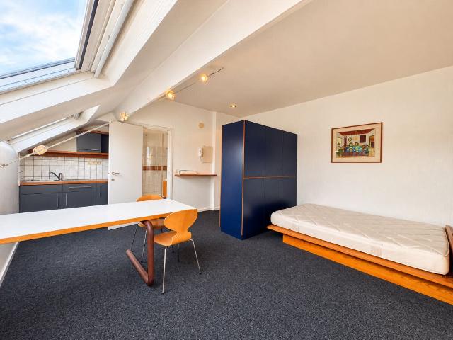 Very nice furnished studio on the Place Saint Catherine