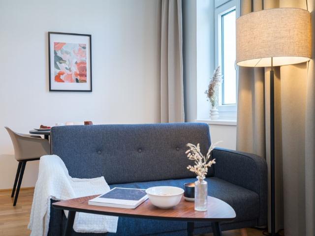 Very Central Business Apartment in Vienna: Optimized for Remote Work, Vienna Amsterdam Apartments for Rent