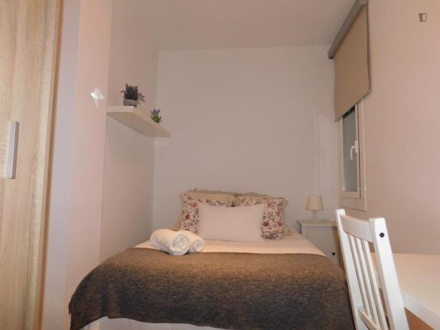 Very comfy double bedroom near Sagrada Família