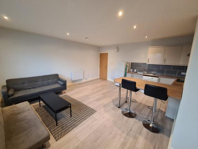 Very large 1 bedroom furnished flat close to city
