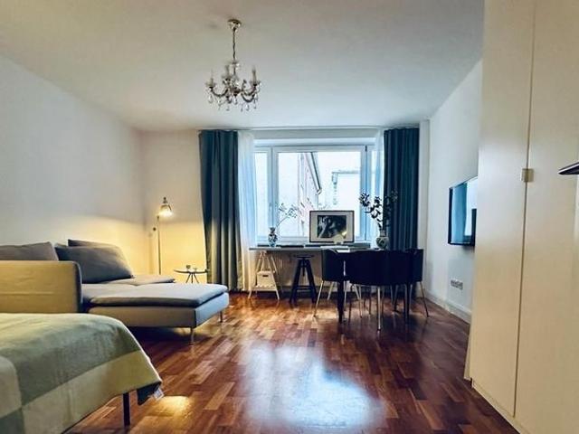 Very sunny, modernly furnished 1 room apartment in the popular Theresienstraße