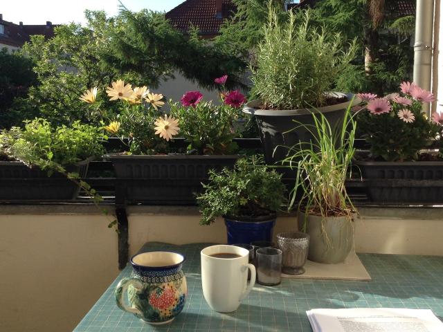 Very sunny and cosy apartment with balcony to green area, near FU and S1 Sundgauer Str.Station, Berlin Amsterdam Apartments for Rent