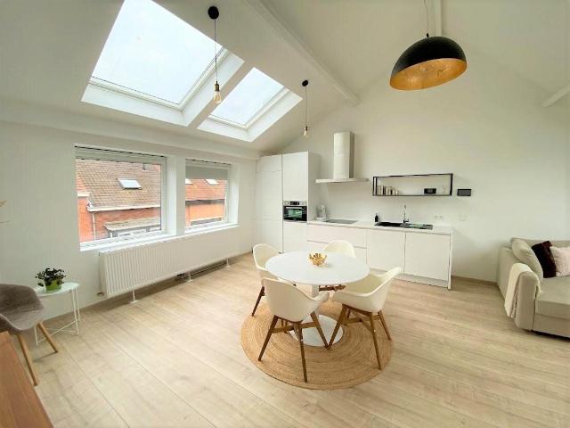 Very spacious duplex apartment