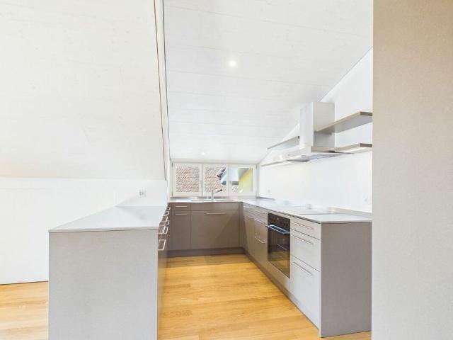 Very spacious, light flooded, freshly renovated attic apartment