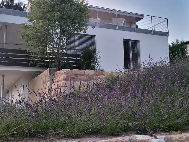Very spacious – Top location – Modern completely renovated 2023 – Large terrace – Quiet