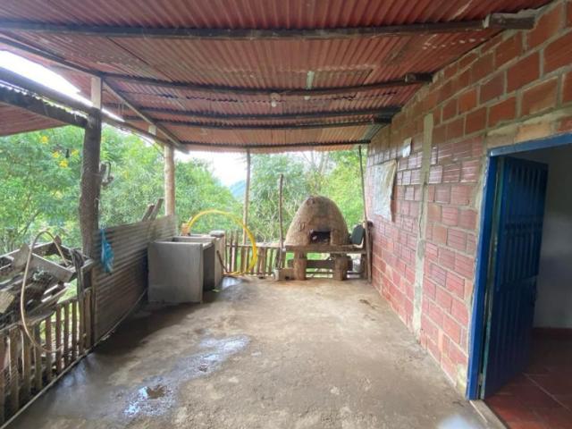 Vereda Palo Colorado \ CASALOTE