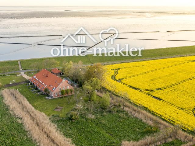 Vermietete Denkmal FeWo am Nordseedeich – 4,95★, provisionsfrei, ~250 Nächte/Jahr