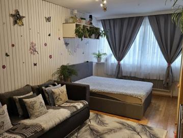 Vermietete 1 Zimmer Wohnung nahe Universität mit sicherer Rendite
