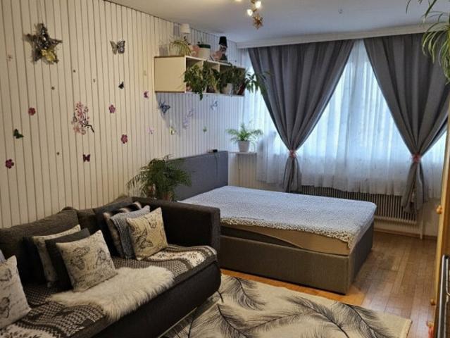 Vermietete 1 Zimmer Wohnung nahe Universität mit sicherer Rendite