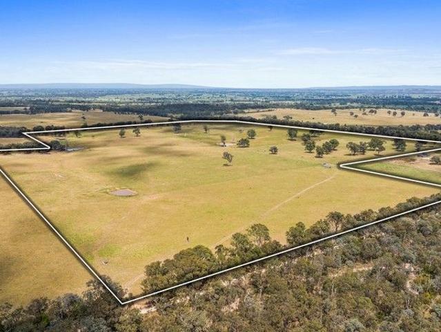 Versatile 214 Acre Holding
